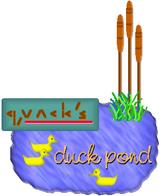 QUACK's Duck Pond